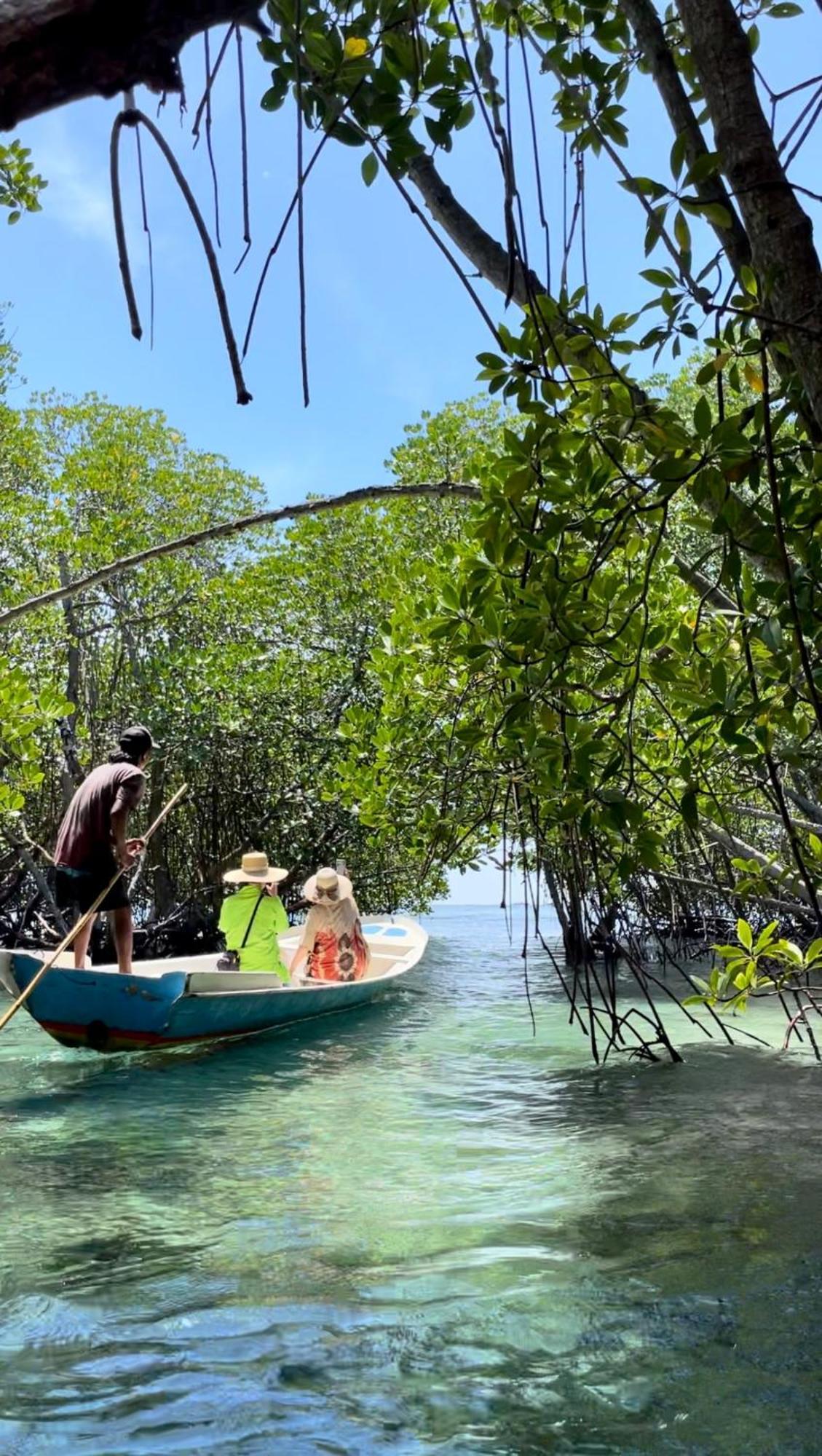 Mangrove Beach Hut Lembongan Zewnętrze zdjęcie